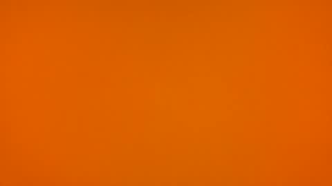 Poprigyn53535 online show from 22, 2, 2026