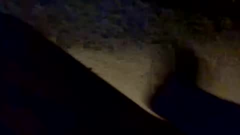 porkchopak online show from 17, 9, 2025