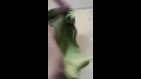 potsymcstoner online show from 12, 1, 2026