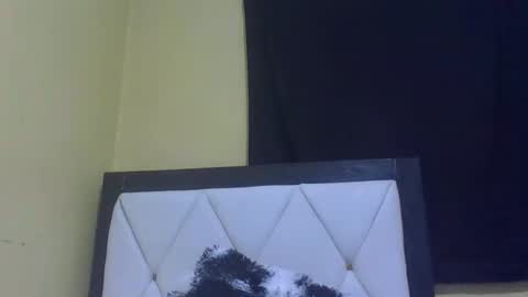 lynn online show from 27, 2, 2026