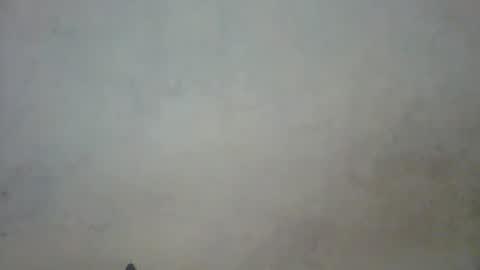 prettycarl_2 online show from 1, 3, 2025