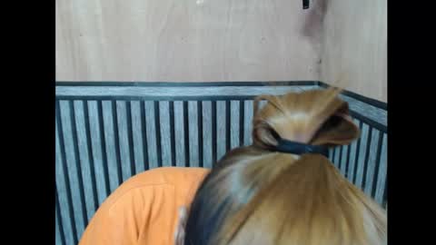 Snapshot of prettykate_04 chatting on 7, 11, 2025 Kate online show from 7, 11, 2025