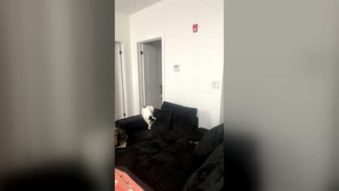 prettyroxxy32838 online show from 6, 1, 2026