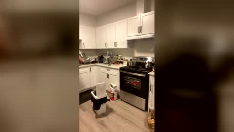 prettyroxxy32838 online show from 7, 1, 2026