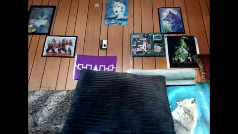 Snapshot of prettysolid7 chatting on 6, 2, 2026 prettysolid7 online show from 6, 2, 2026