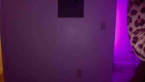 Snapshot of princesstwerkk chatting on 6, 4, 2026 Princess Twerkk online show from 6, 4, 2026