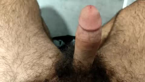 prinzkail643 online show from 8, 1, 2026