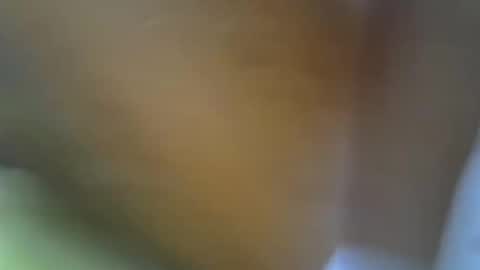 Princess online show from 17, 11, 2025