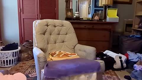 Snapshot of professorspanky chatting on 27, 1, 2025 professorspanky online show from 27, 1, 2025