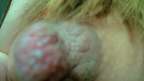 Nayaa Nay 3 online show from 24, 1, 2025