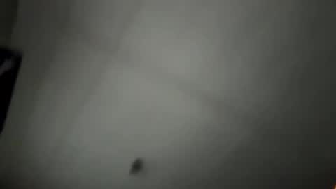 pufftropica online show from 7, 1, 2026