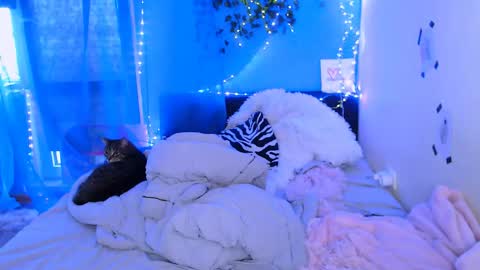 Snapshot of pufpufog chatting on 13, 5, 2026 EsteticHouse online show from 13, 5, 2026