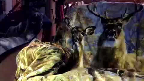 pumpslurrys online show from 12, 10, 2025