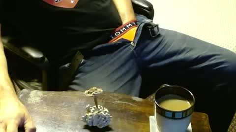 Jojo online show from 12, 10, 2025