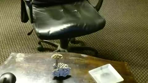 Jojo online show from 16, 10, 2025