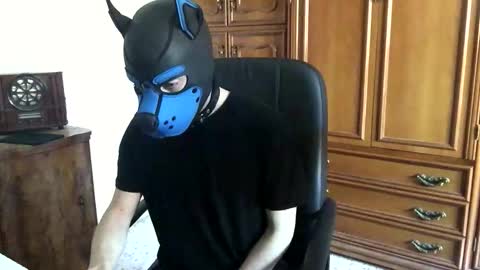 Toby online show from 7, 11, 2025