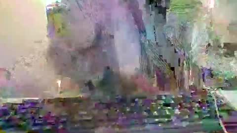 pup_y online show from 20, 12, 2025