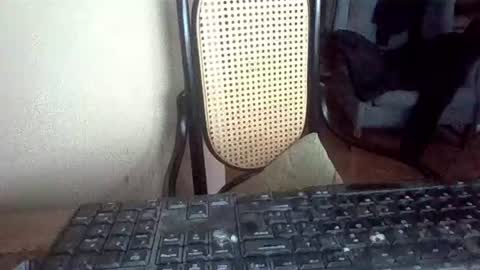 pup_y online show from 16, 2, 2026