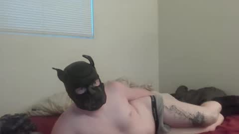 puptav online show from 5, 3, 2026