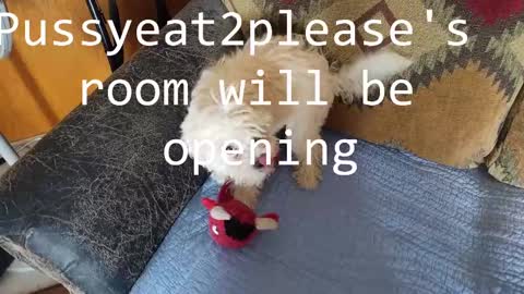 Snapshot of pussyeat2please chatting on 11, 3, 2025 Rick online show from 11, 3, 2025