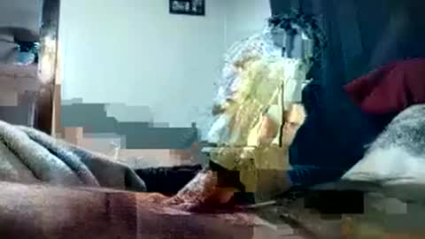 Pussyluver420 online show from 1, 10, 2025