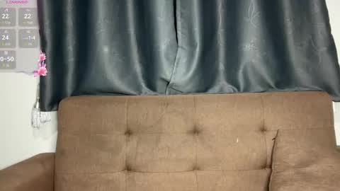 Snapshot of pussymoneywet chatting on 4, 6, 2026 Lina online show from 4, 6, 2026