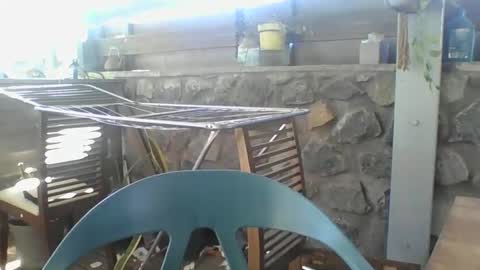 Python online show from 29, 11, 2025