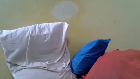 Gentrix online show from 23, 2, 2026