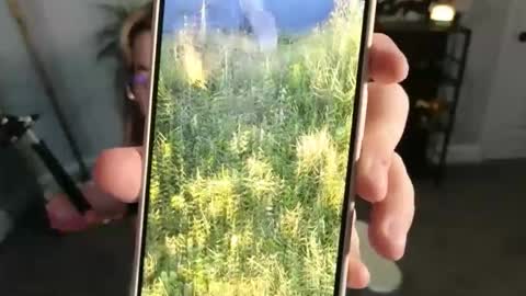 Snapshot of quervoqueen1 chatting on 17, 11, 2025 Bri online show from 17, 11, 2025