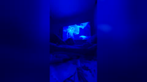 quickandcurious online show from 6, 2, 2026