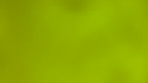 quinnxx online show from 9, 3, 2026