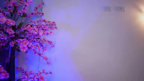 Snapshot of r4veenn chatting on 11, 1, 2025 RACHEL BLAKE online show from 11, 1, 2025