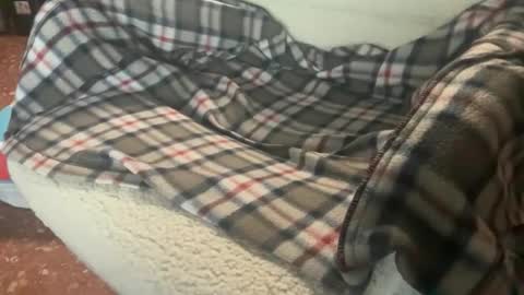 rafa427099 online show from 4, 2, 2026