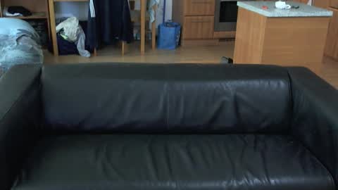 Snapshot of rafaelosteel chatting on 5, 11, 2025 rafaelosteel online show from 5, 11, 2025