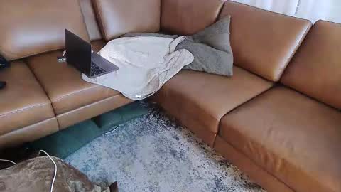 DressSock Shoe online show from 16, 5, 2026