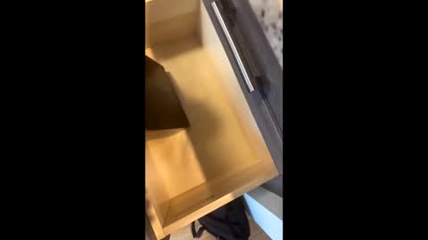 Snapshot of rainbow_randolf chatting on 22, 11, 2025 Rainbow Randolf online show from 22, 11, 2025