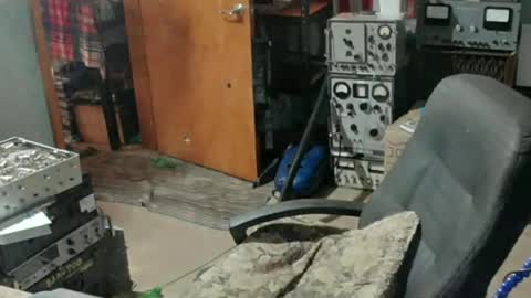 Snapshot of randalltotazz chatting on 15, 7, 2026 Randall online show from 15, 7, 2026