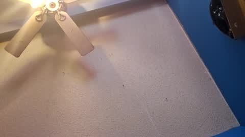 Snapshot of randcandy77 chatting on 11, 11, 2025 Randcandy77 online show from 11, 11, 2025