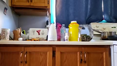 Snapshot of randcandy77 chatting on 14, 11, 2025 Randcandy77 online show from 14, 11, 2025