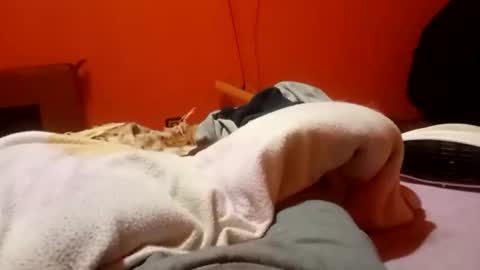 Snapshot of raulillo19842 chatting on 19, 2, 2026 raulillo19842 online show from 19, 2, 2026