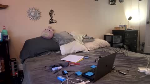 Snapshot of ravenoldschool11 chatting on 20, 4, 2026 Raven online show from 20, 4, 2026