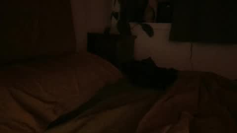 sebas online show from 6, 2, 2025