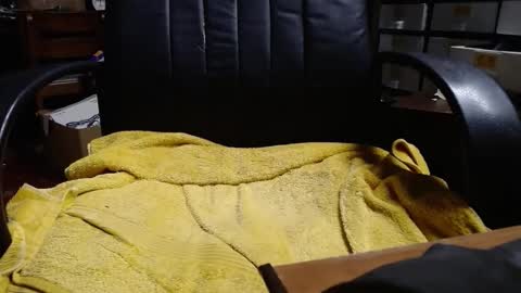 Ray online show from 3, 4, 2026