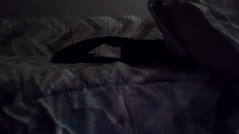 Snapshot of rcalty chatting on 10, 11, 2025 rcalty online show from 10, 11, 2025