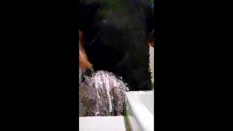 readwithjordanv online show from 9, 2, 2026