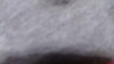 ready2fuk647232 online show from 2, 11, 2025