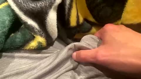 realbigload77 online show from 20, 9, 2025