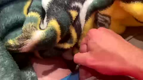 realbigload77 online show from 11, 10, 2025