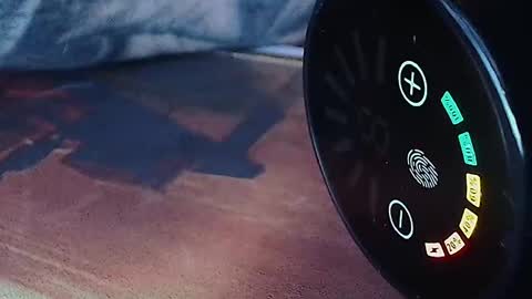 realrubpirate online show from 12, 4, 2026