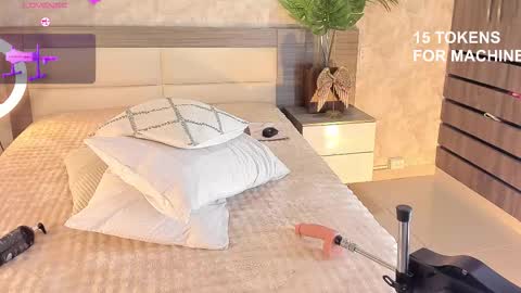 Snapshot of rebeca_cortez1 chatting on 8, 3, 2026 I invite you to my birthday on November 3th online show from 8, 3, 2026